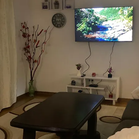 Dzeni Apartment *